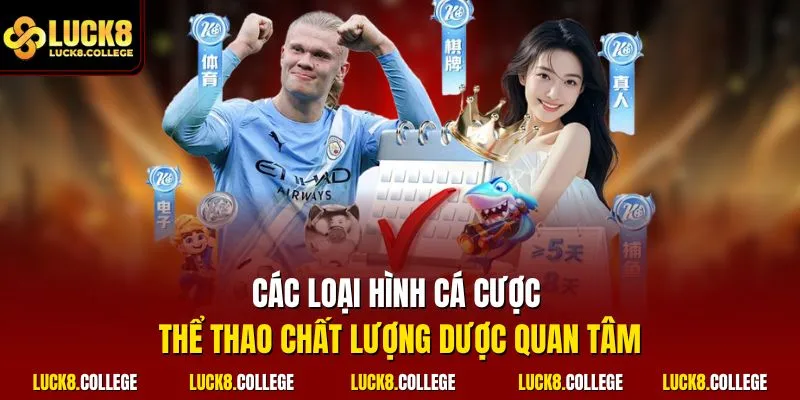 Các loại hình cá cược thể thao chất lượng dược quan tâm